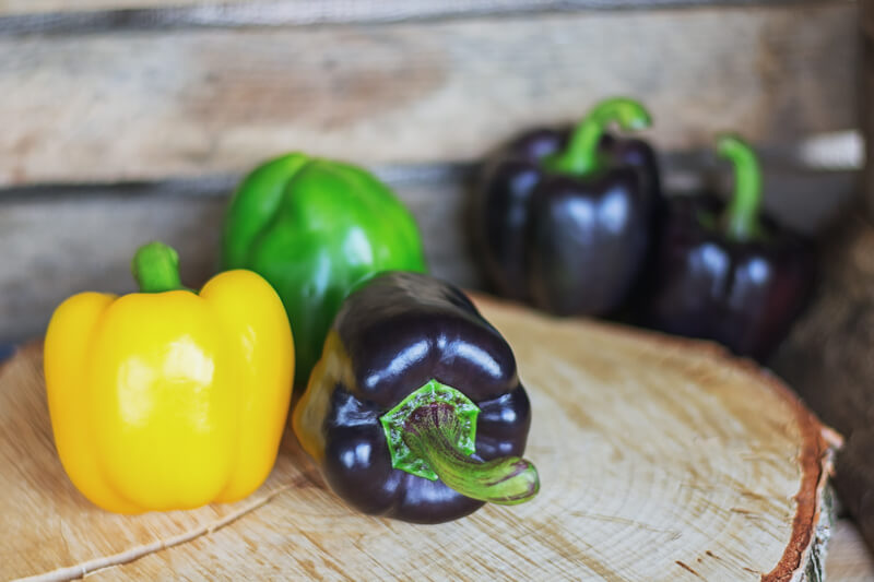 10 beste metgezellen voor basilicum