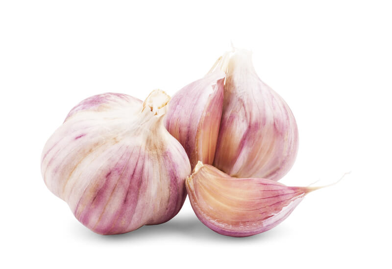 tien beste metgezellen voor basilicum
