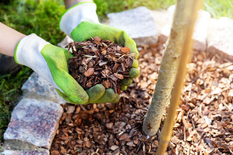 tuin klaar maken voor hete zomers